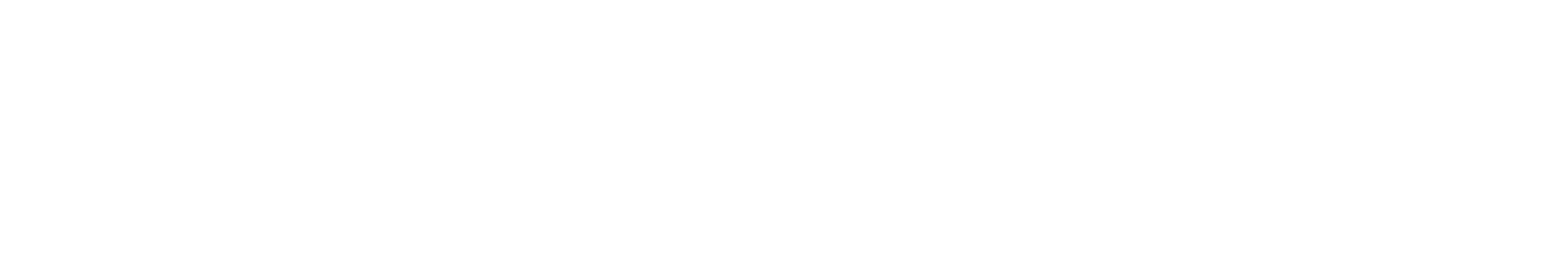MED Systeme logo-new-white